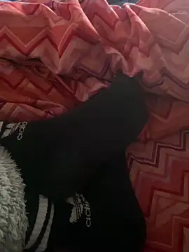 DAPHNE  00 online show from March 7, 9:16 am