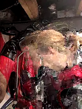 Caromimi18 online show from December 19, 12:30 pm