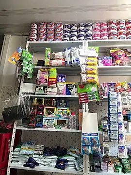 emilyjohanson online show from December 17, 3:49 pm