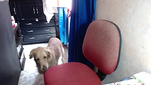 Barbiegomez online show from October 14, 4:42 pm