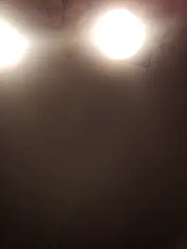 lilianashemale online show from November 1, 3:10 am