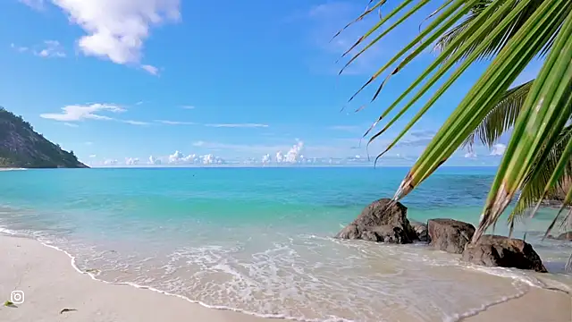 Snapshot of honeey_ chatting on October 15, 11:07 pm honeey  online show from October 15, 11:07 pm