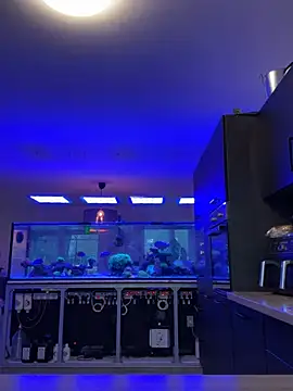 newMichelle online show from February 5, 8:06 am