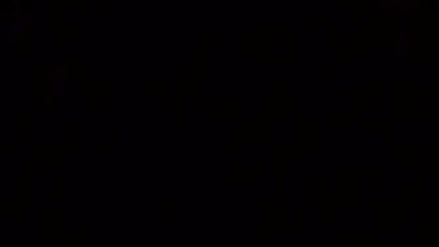 tatiana wd online show from February 24, 1:32 pm