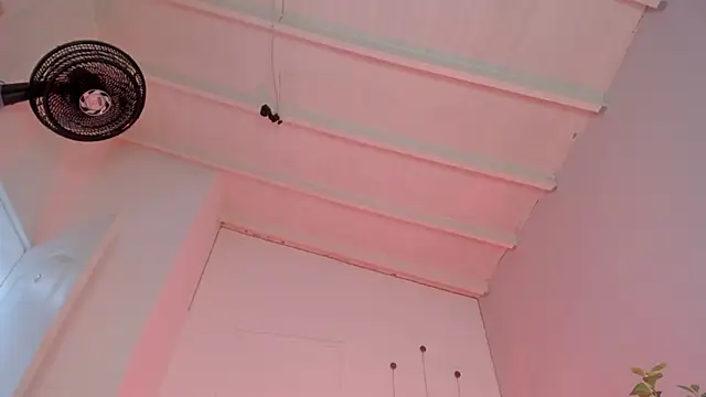 swt-booty online show from November 19, 6:52 pm