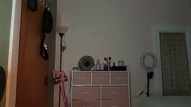 Pumpkin bunny online show from November 12, 4:43 am