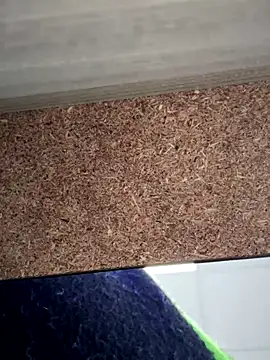 Snapshot of cinnatitties chatting on September 14, 5:44 pm cinnatitties online show from September 14, 5:44 pm