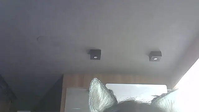 Skinny-Kitten online show from December 3, 1:52 am