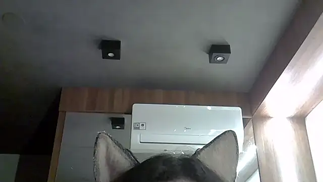 Skinny-Kitten online show from October 27, 3:02 am