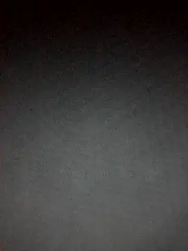 ORIANNA BODMOD online show from January 11, 11:10 pm