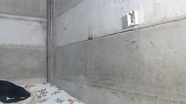 Kenya Agu online show from November 12, 6:50 pm